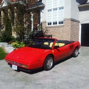 Meet your Posher, Wayne